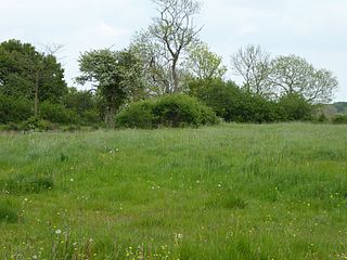 <span class="mw-page-title-main">Dew's Ponds</span>