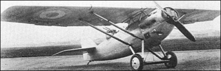 <span class="mw-page-title-main">Dewoitine D.25</span> Fighter aircraft