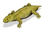 Dicynodon Dicynodon BW.jpg