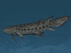 Life restoration of the Middle Devonian lungfish Dipterus Dipterus NT.jpg