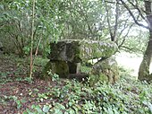 Chezeau Dolmen.JPG