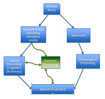 The mechanisms involved in dual-route processing, moving from the recognition of a written word to speech production. Dual route hypothesis to reading.jpg