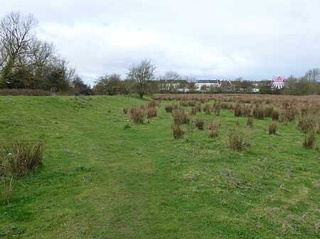 Duston Mill Meadow 1