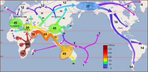 Paleolític Superior: Innovacions en la cultura material, Homo sapiens, Períodes climàtics