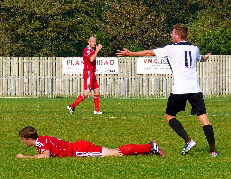 File:Eastbourne United v Loxwood (15512246611).jpg