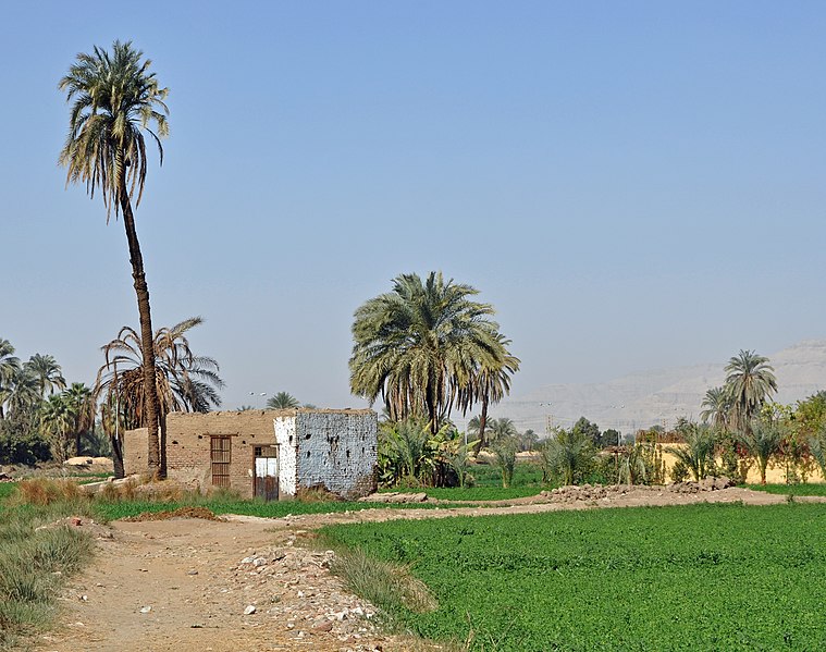 File:Egyptian Countryside R04.jpg