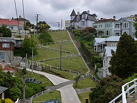 Suburban housing in Dunedin Elm Row City Rise Dunedin.jpg