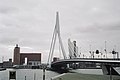 Erasmus Bridge, Rotterdam (3184250).jpg