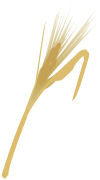 Golden Spike.svg