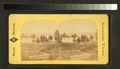 Farm land and fences in foreground (NYPL b11707548-G90F285 002F).tiff