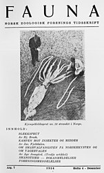 #137 (2/10/1954) The specimen was featured on the cover of the December 1954 issue of the Norwegian Zoological Society's quarterly journal, Fauna: Norsk Zoologisk Forenings Tidsskrift (see Broch, 1954)