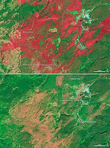 Landsat images of burned land in Yellowstone National Park in 1989 and 2011. Fire and the Future of Yellowstone - NASA Earth Observatory.jpg