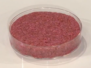 Cultured meat Animal flesh product that has never been part of a living animal