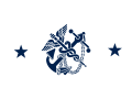 Rank flag of a U.S. Public Health Service Commissioned Corps rear admiral