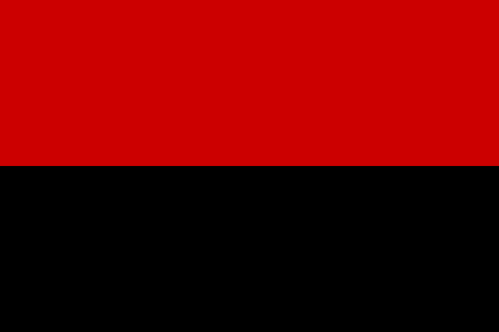 Флаг УПА.