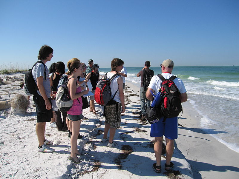 File:Florida- 1678 Egmont Key.JPG