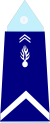 France (Gendarmerie) OR-5a.svg
