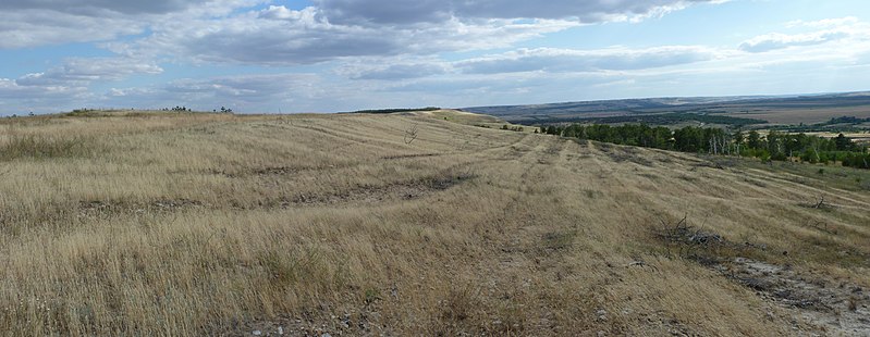 File:G. Kamyshin, Volgogradskaya oblast', Russia - panoramio (31).jpg