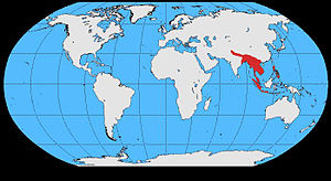 Distribución del gallo bankiva