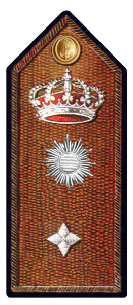 File:General Subinspector Intervención.png