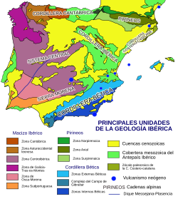 Resultado de imagen de dominio ollos de sapo