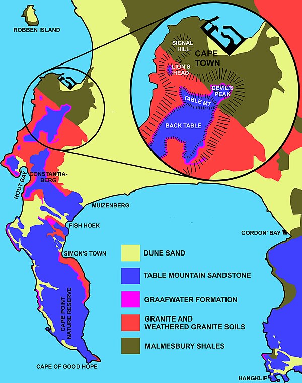 Geology of the Cape Peninsula, showing where the Malmesbury Group and Cape Granite rocks and weathered soils are exposed, and overlain by the Cape Sup