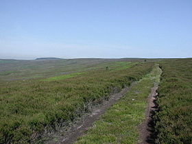 Gisborough Moor.jpg