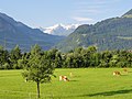 Giswil, Švajčiarsko, 2011 - panoramio.jpg