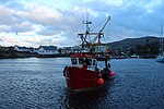 Миниатюра для Файл:Golden Bells, Girvan Harbour - geograph.org.uk - 5269901.jpg