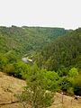 La Loire à Gournier, vers l'amont