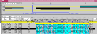 AceDB Multiple Sequence Alignment View GrainGenes AceDB Multiple sequence alignment view.gif