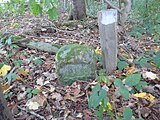 Grenzstein zwischen den Kreisen Warburg / Büren nahe Kleinenberg