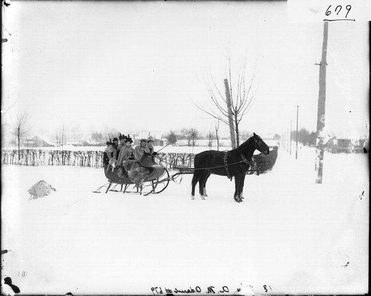 File:Group of women in horse drawn sleigh n.d. (3193526089).jpg