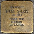 Stumbling block for Taube Salkin in Halle (Saale)