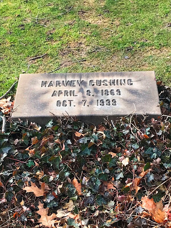 Harvey Cushing's tomb, Lake View Cemetery, Cleveland, Ohio