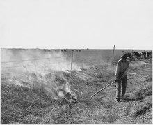 Farmer in Haskell County, Kansas burning tumbleweeds in a roadside ditch (April 1941). Haskell County, Kansas. Burning tumbleweeds in the roadside ditches is a regular Spring practice. - NARA - 522109.tif
