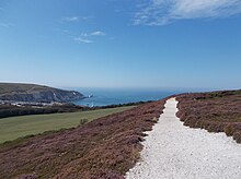 Headon Warren, Isle of Wight, England.jpg