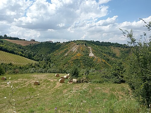 Hills of Marano sul Panaro