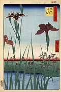 Hiroshige, Horikiri iris garden, 1857.jpg