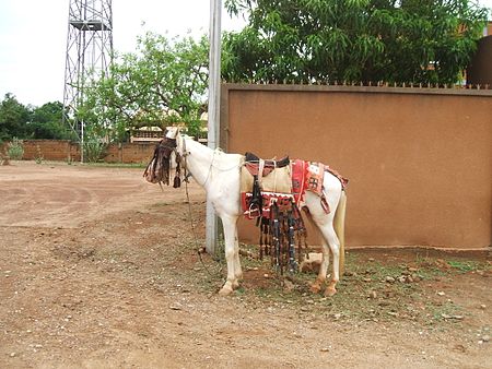 Tập_tin:Horse_Burkina_Faso.JPG