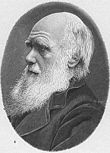 Portrét Charlese Darwina