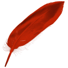 ICalamus feather 512x512.png