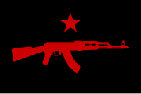 Иллюстративное изображение статьи Revolutionary International Guerrilla Force