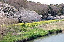 花見川区 Wikipedia
