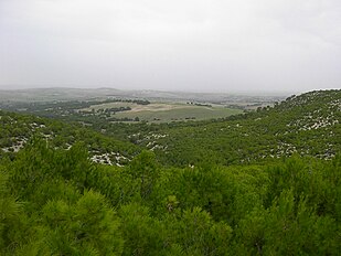 Jebel El Fahs, Tunisia