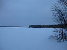 Kaihlanen 25 januari 2009