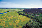 Overhead view of grassy wetlands, with a river cutting through and a forested escarpment to the right