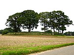 Great stone grave Karlsminde