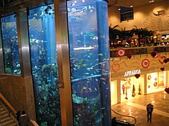 Large aquarium at Mega in Kaunas, Lithuania
