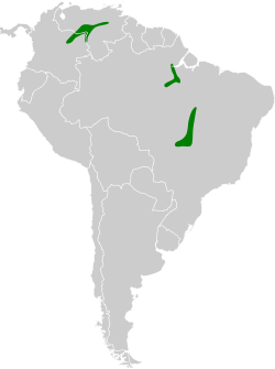 Distribución geográfica de la viudita ribereña (excluyendo K. sclateri).